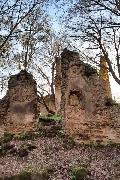 I ruderi di un edificio di Monterano Antica invasi dagli alberi, con la nicchia ancora visibile nel muro