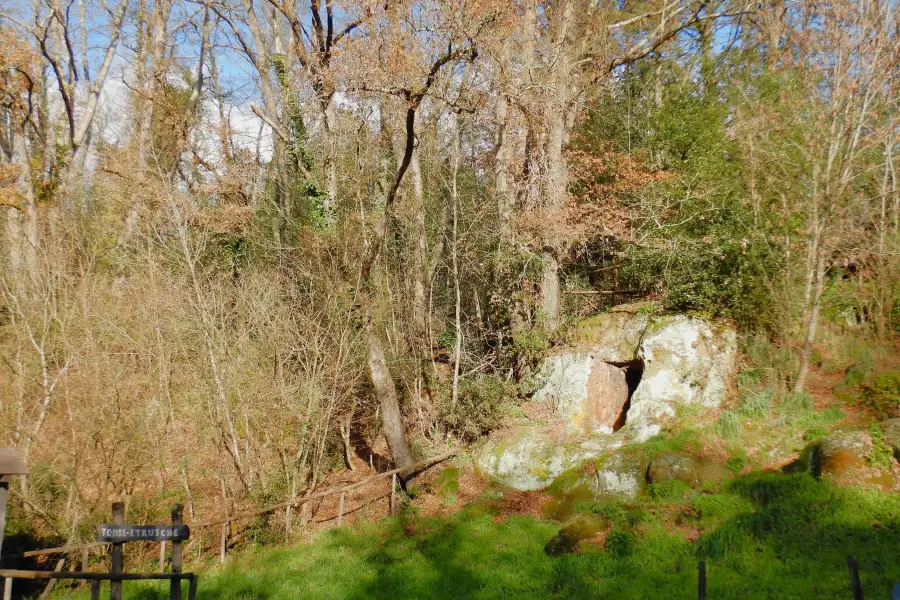 Le tombe etrusche scavate nel tufo della Necropoli dei Grottini di Rota, nella Riserva di Monterano