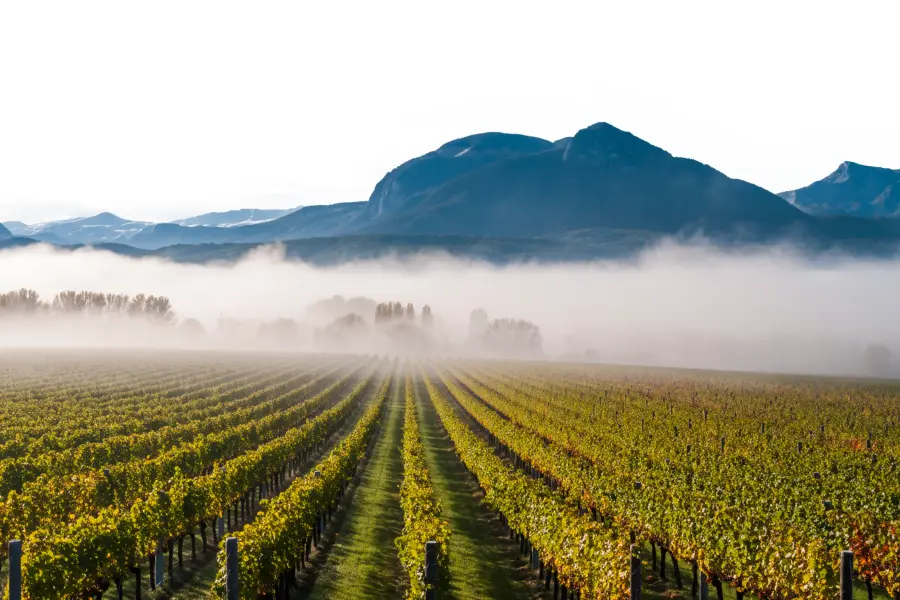 orizzontale orizzontale