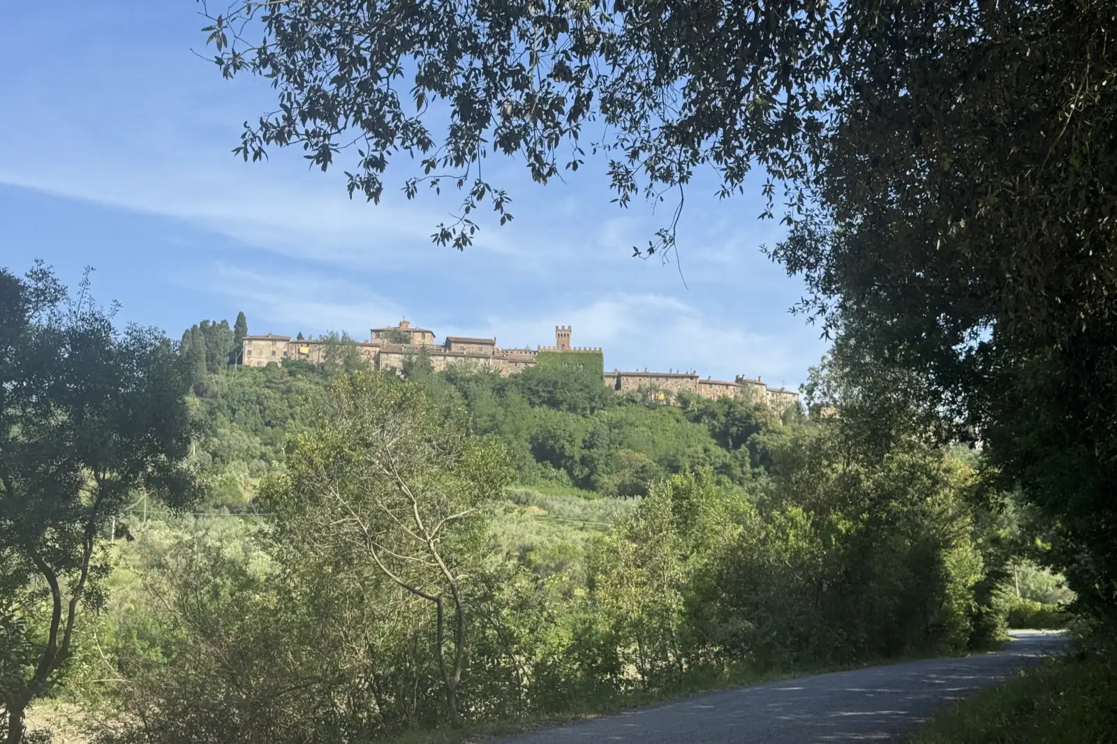 La strada di campagna che sale verso Querceto, con il borgo che appare tra gli alberi