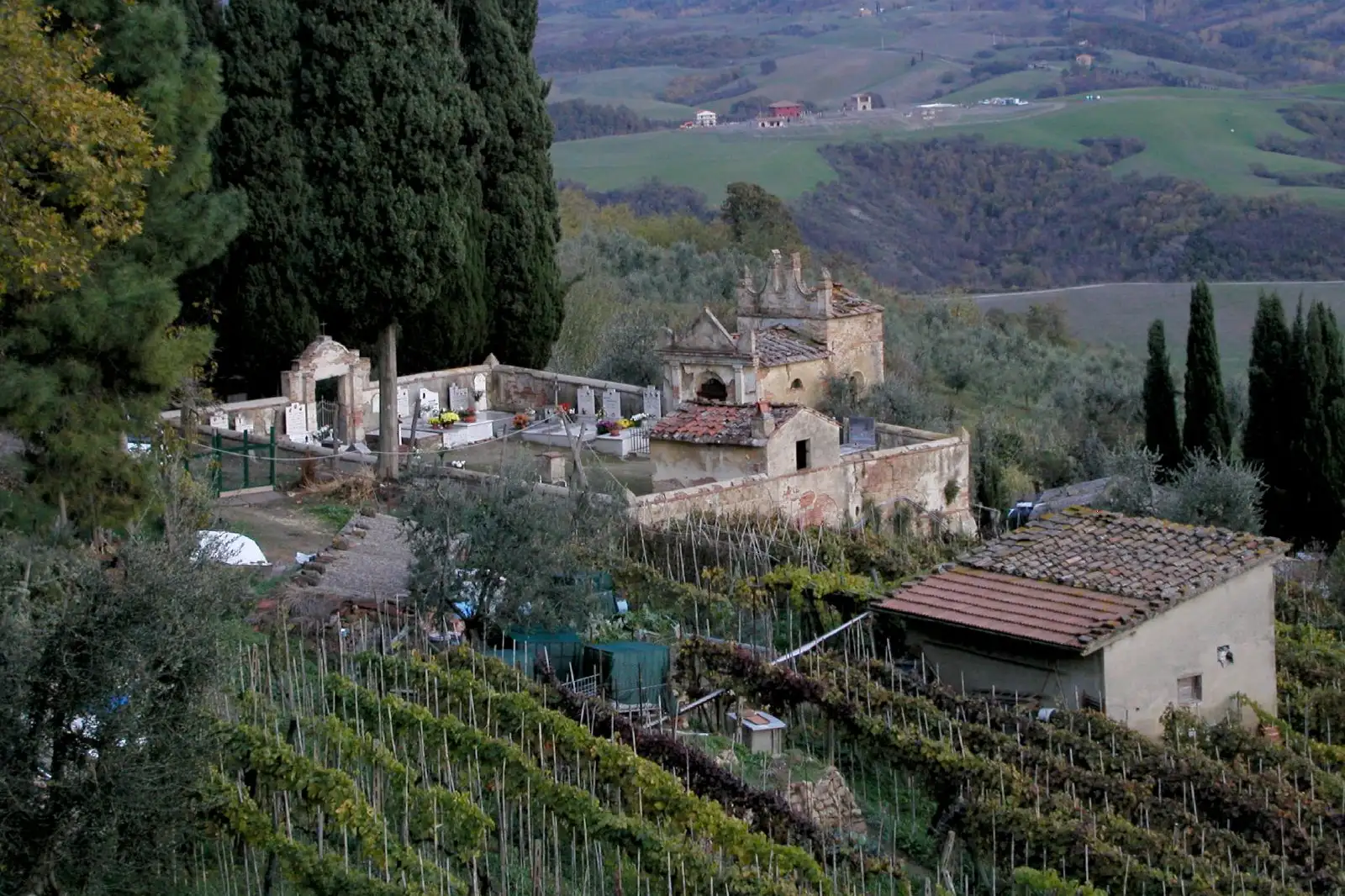 Il cimitero di Toiano e le vigne sul crinale, con le colline della Valdera che si aprono alle spalle