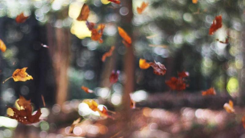 Castelluccio di Norcia